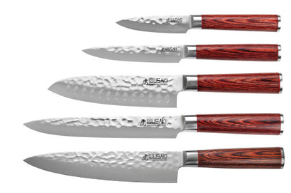 Mallette 5 couteaux de cuisine japonais professionnels (chef 20cm, santoku 17cm, découper 20cm, universel 12cm, office 9cm)